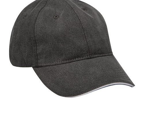 Icon Sandwich Cap