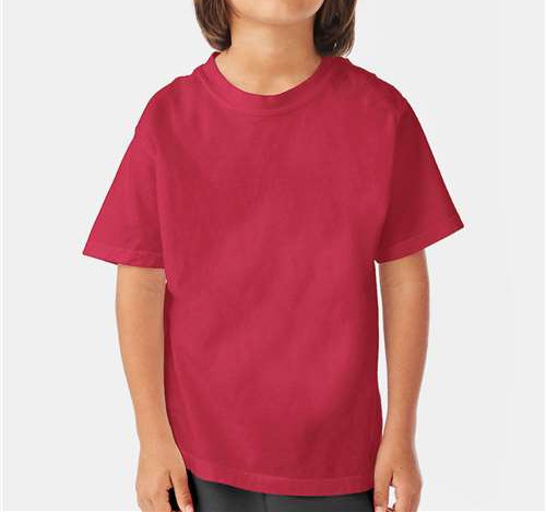 Youth Garment-Dyed T-Shirt in Crimson Fall